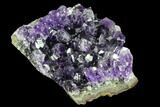 Dark Purple Amethyst Cluster #90166-1
